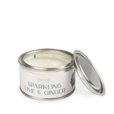 Pintail Candles Sparkling Lime & Ginger Paint Pot Candle