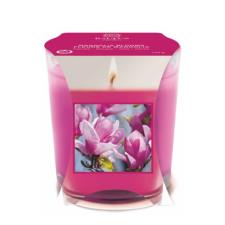 Baltus Magnolia Blooms Scented Glass Candle