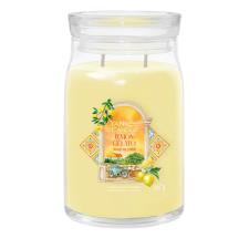 Yankee Candle Lemon Gelato Large Jar