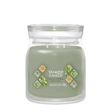 Yankee Candle Olive &amp; Cypress Medium Jar