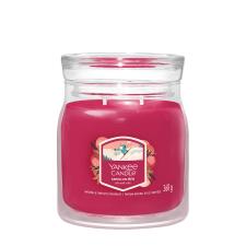 Yankee Candle Santa On Skis Medium Jar