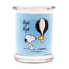 Peanuts "Bye Bye" Fruity Cherry Medium Jar Candle