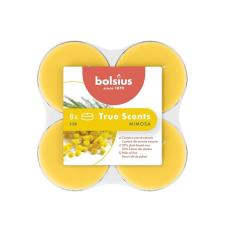 Bolsius Mimosa 8 Hour Maxi Tealights (Pack of 8)