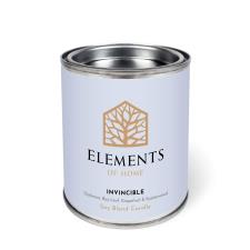 Elements of Home Invincible Tin Candle