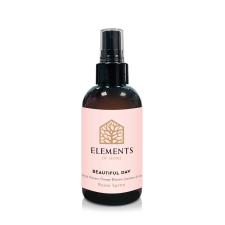 Elements of Home Beautiful Day Room Mist Spray