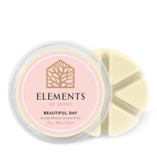 Elements of Home Beautiful Day Wax Melts (Pack of 5)