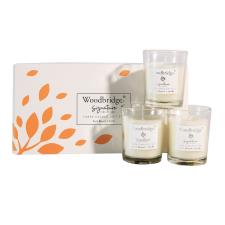 Woodbridge Peach Blossom & Vanilla 3 Votive Gift Set
