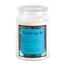 Woodbridge Tropical Escape Large Jar Candle