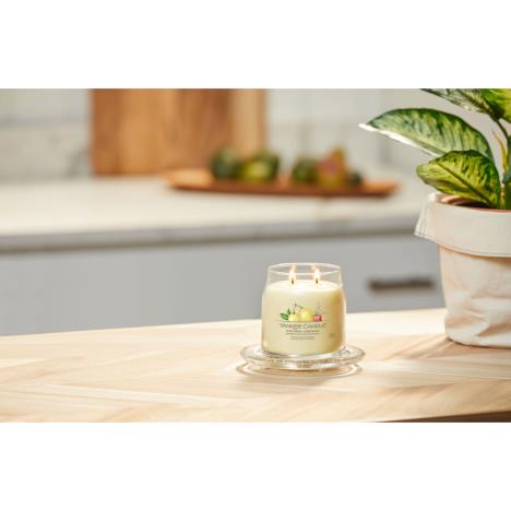 Freesia & Cedar Candle, aromatherapy  Lily & Loaf – Nature's Supplements