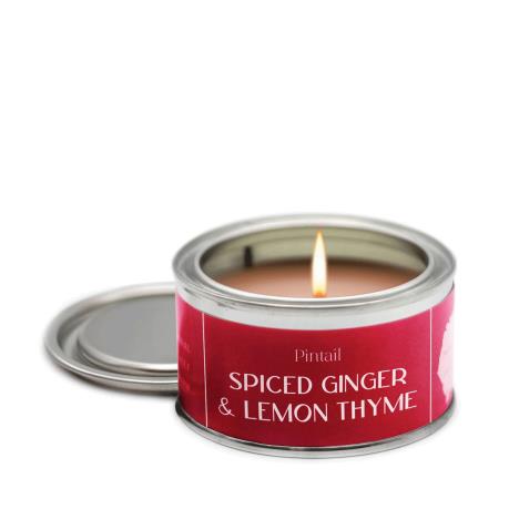 Pintail Candles Spiced Ginger & Lemon Thyme Paint Pot Candle  £5.18