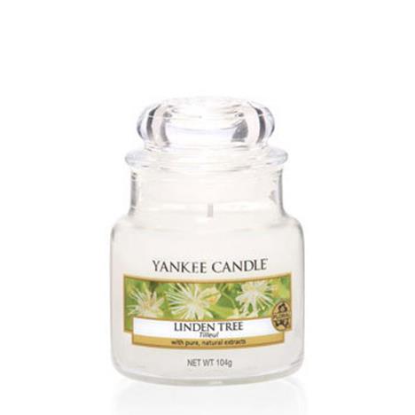Yankee Candle Linden Tree Small Jar  £8.09