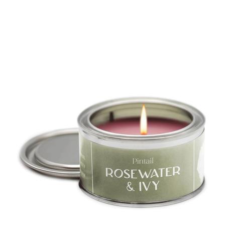 Pintail Candles Rosewater & Ivy Paint Pot Candle  £5.18