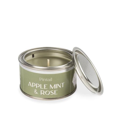 Pintail Candles Apple Mint & Rose Paint Pot Candle  £5.18