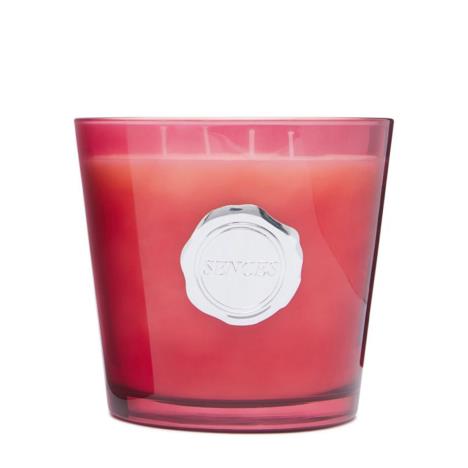 Sences Rhubarb & Ginger Boxed Luxury Candle  £13.94