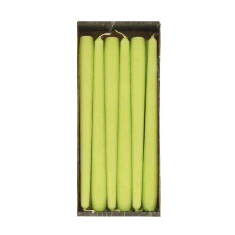 Bolsius Lime Tapered Candle 25cm (Pack of 12)  £11.24