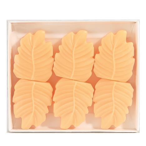 Woodbridge Peach Blossom & Vanilla Wax Melts (Pack of 6)  £3.29